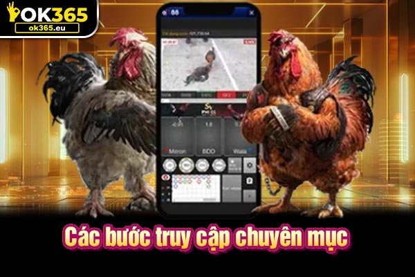 Các bước truy cập chuyên mục