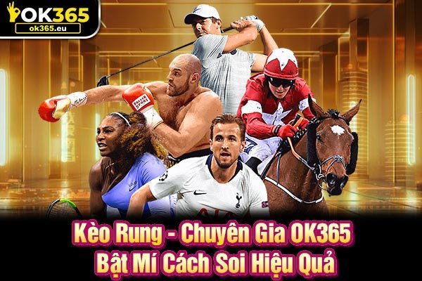 Kèo Rung - Chuyên Gia OK365 Bật Mí Cách Soi Hiệu Quả