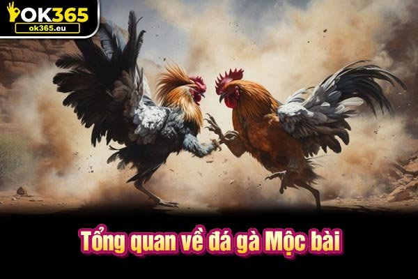 Tổng quan về đá gà Mộc Bài