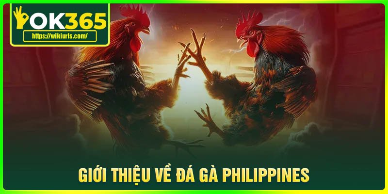 Giới thiệu về Đá gà Philippines tại OK365