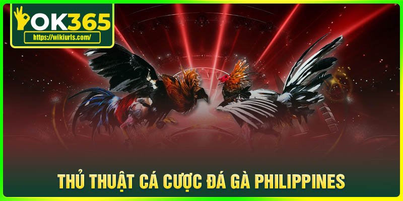 Thủ thuật cá cược Đá gà Philippines luôn thắng lớn